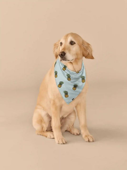 UltraModal™ BuddyBands™  | Pineapples