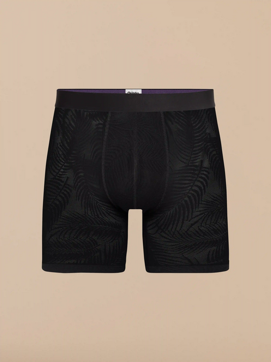 All Over Lace Boxer Brief | Black Feather